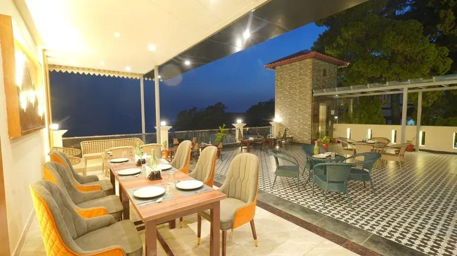 DLS Oak Bush x Solis Nature