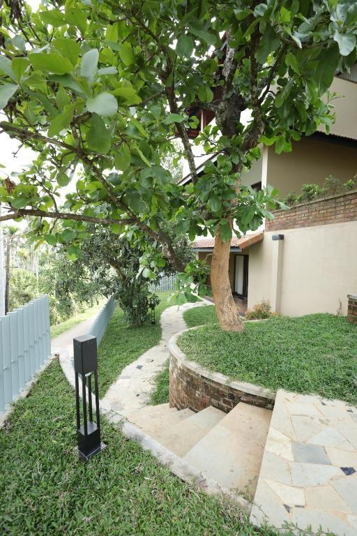 Tangerine Tales Boutique Resort x Solis Nature