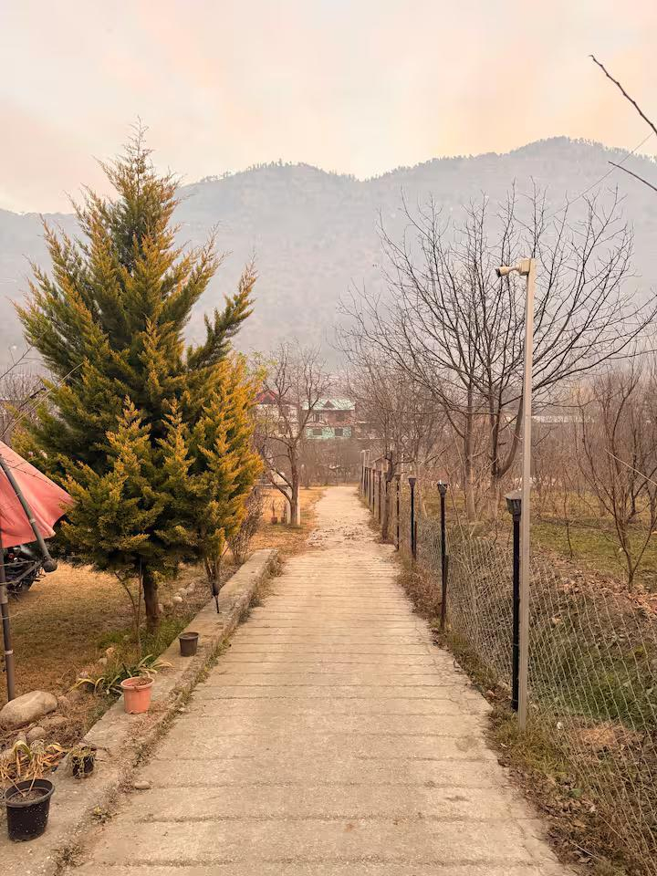 The Neel Nook | Inuksukh x Solis Nature