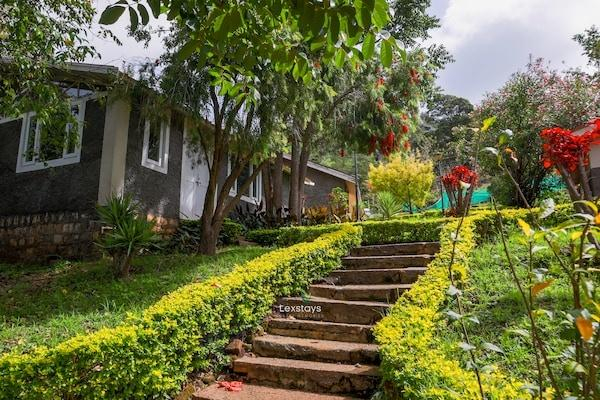 42 Green pastures tea Estate Experience x Solis Nature