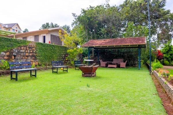 42 Green pastures tea Estate Experience x Solis Nature