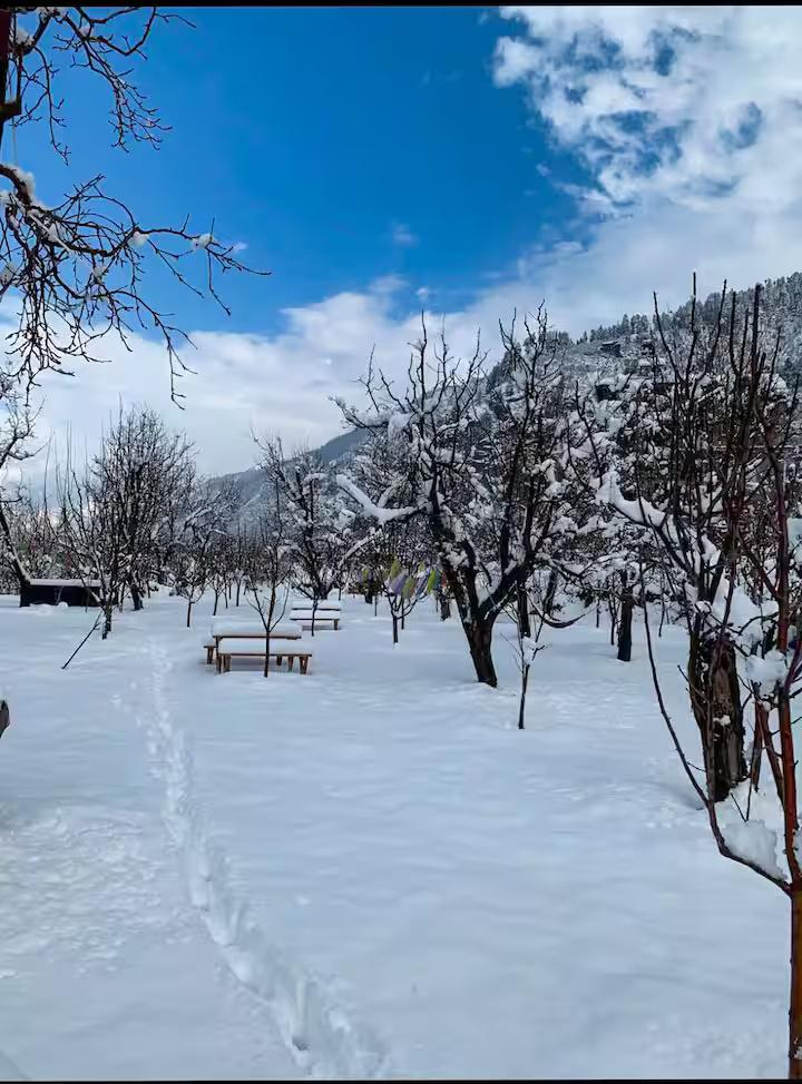 Jagatsukh  Chalet 4 in Manali Jagatsukh x Solis Nature