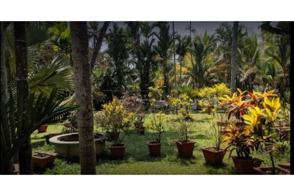 Kallupurackal Heritage Farm House x Solis Nature