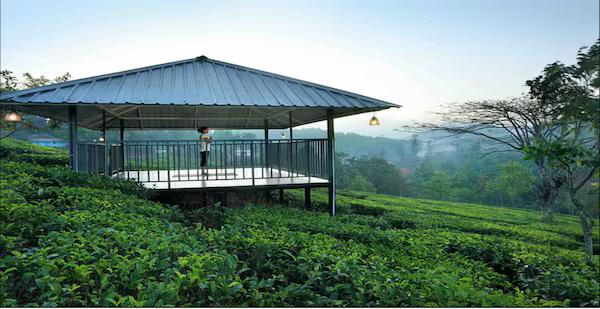 Pekoe Plantation Cottages Kuttikanam x Solis Nature