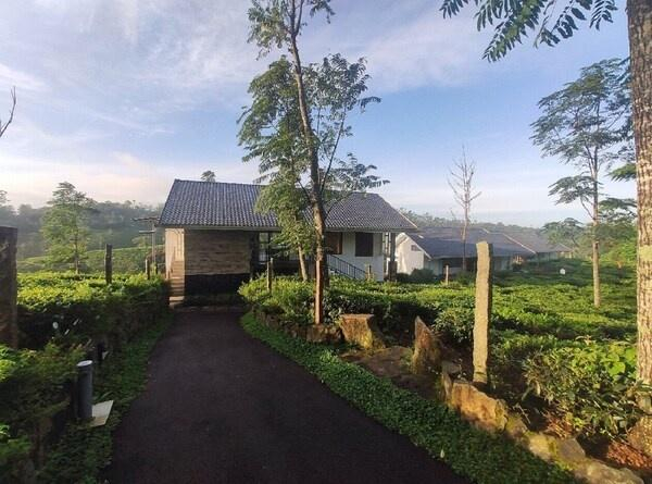 Pekoe Plantation Cottages Kuttikanam x Solis Nature
