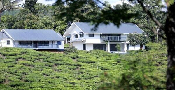 Pekoe Plantation Cottages Kuttikanam x Solis Nature