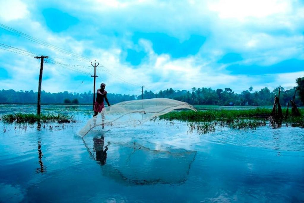 Riverdale Homestay Kumarakom by LexStays x Solis Nature
