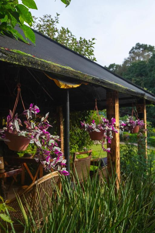 De Rock Jungle Living Resort - Cliff View Room x Solis Nature