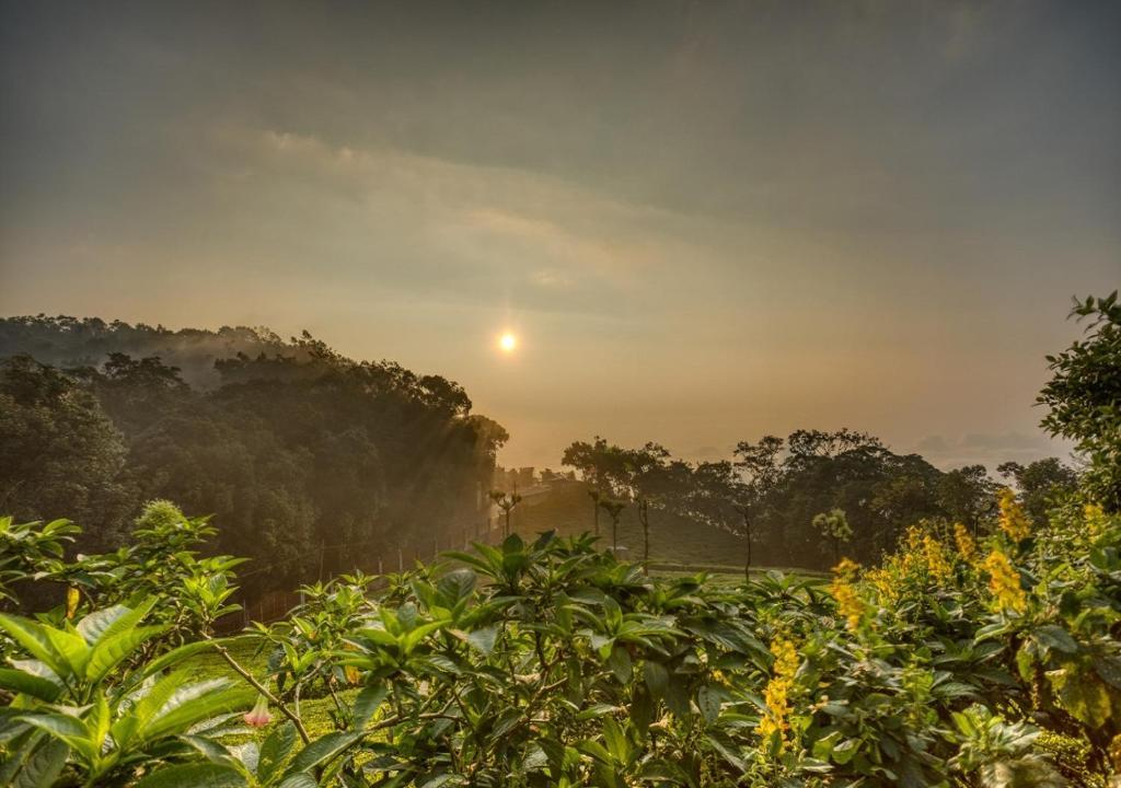 De Rock Jungle Living Resort - Cliff View Room x Solis Nature