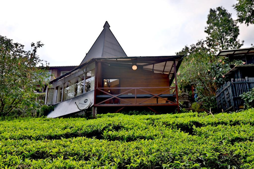 De Rock Jungle Living Resort -Plain View Room x Solis Nature