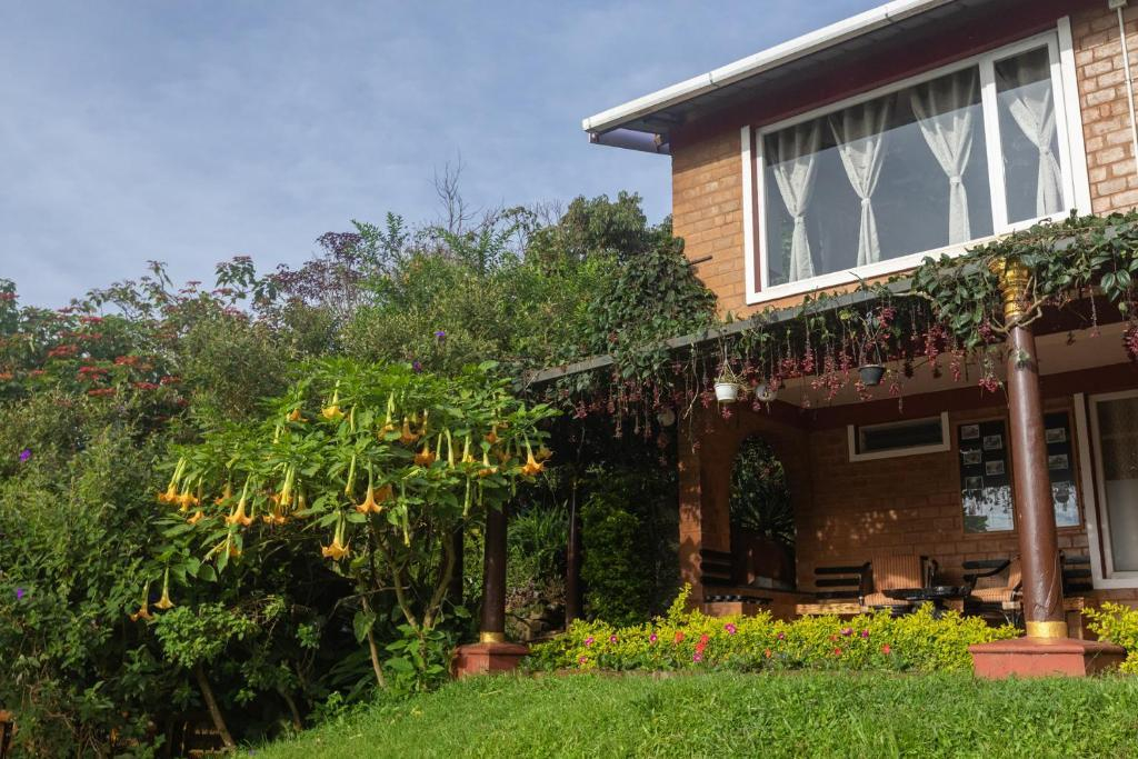 Bison Cottage -    by De Rock Jungle Living Resort x Solis Nature