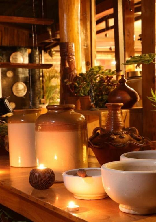 Rainforest Room - by De Rock Jungle Living Resort x Solis Nature