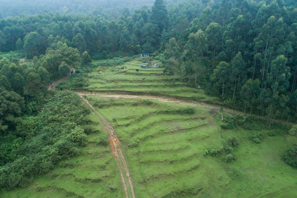 Anandavana Jungle Living By LexStays x Solis Nature