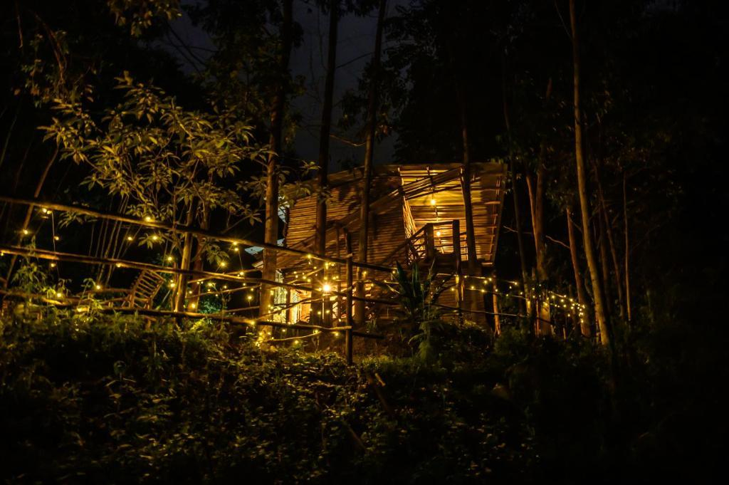 Anandavana Jungle Living By LexStays x Solis Nature