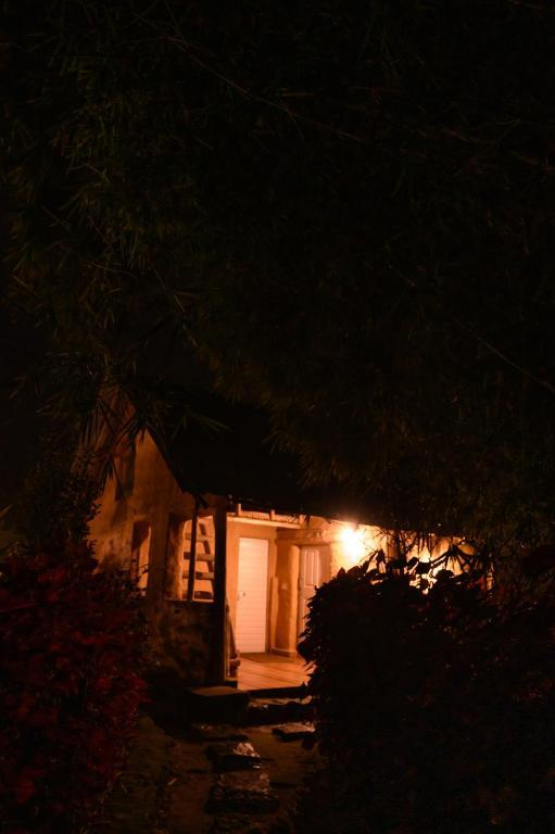 Anandavana Jungle Living By LexStays x Solis Nature