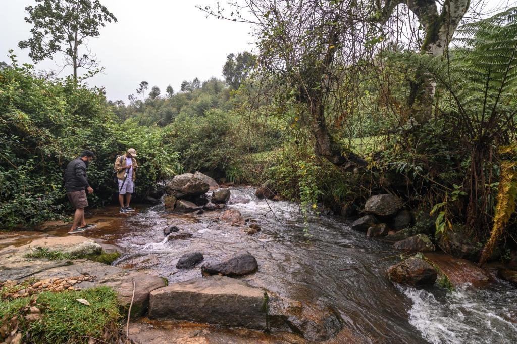 Anandavana Jungle Living By LexStays x Solis Nature