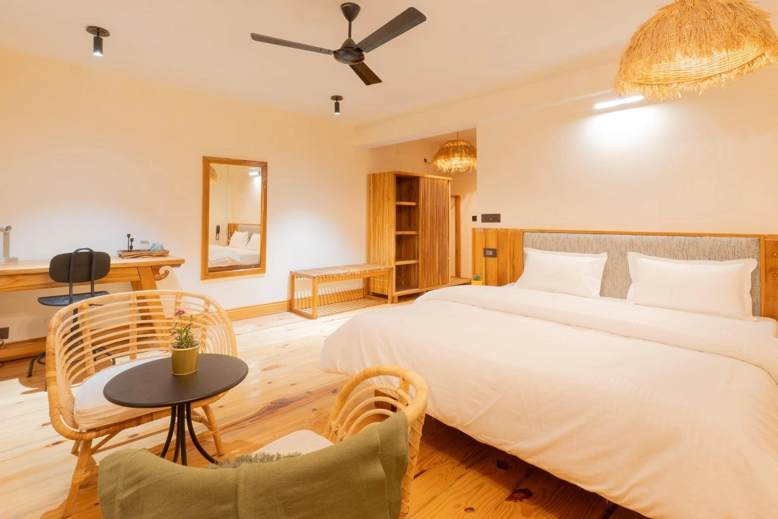 Over The World x Solis Nature