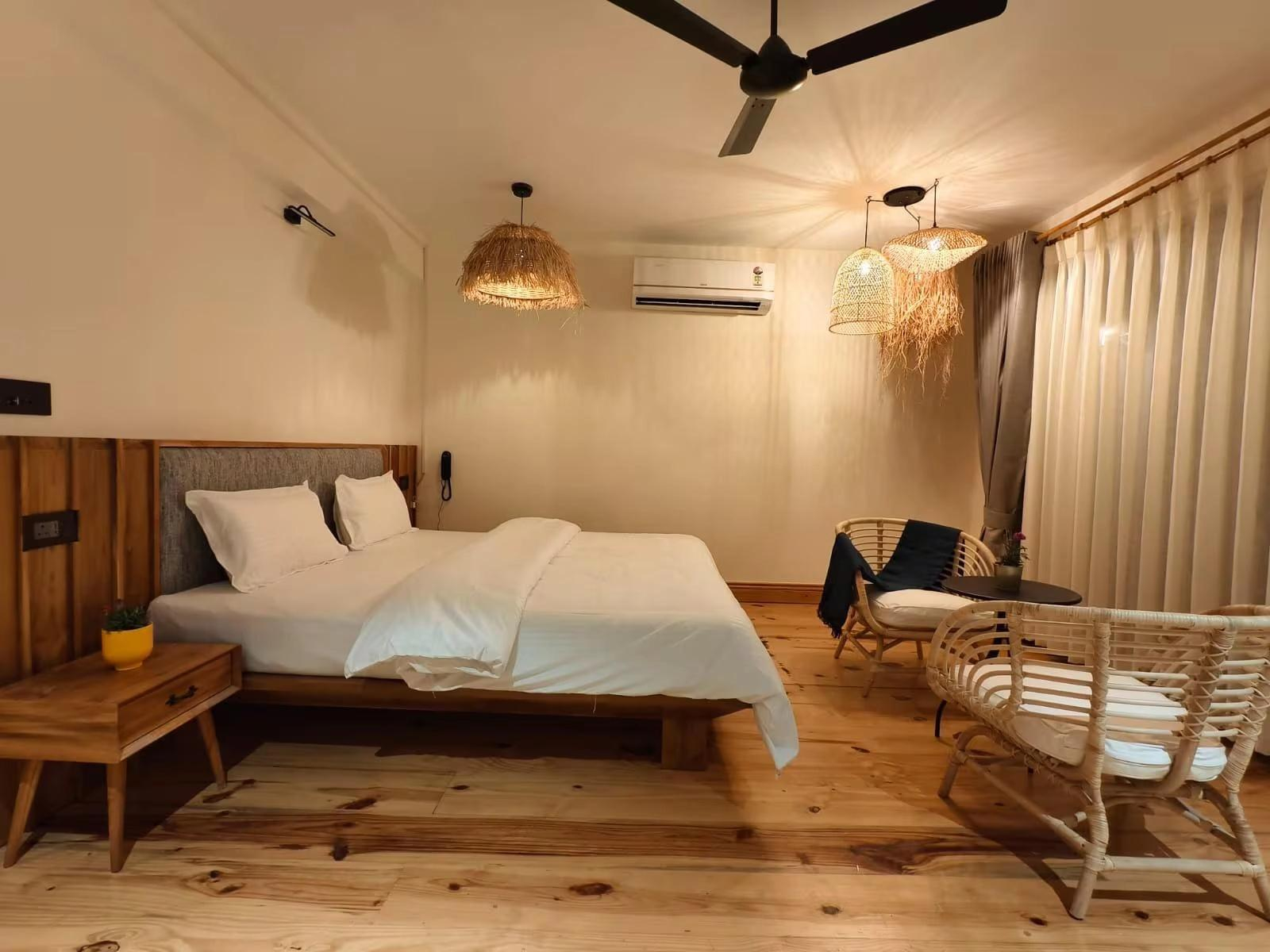 Over The World x Solis Nature