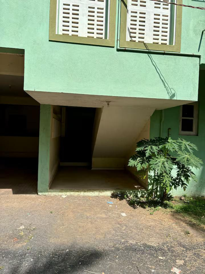 Uptown Escape by Comfort Quarters x Solis Nature