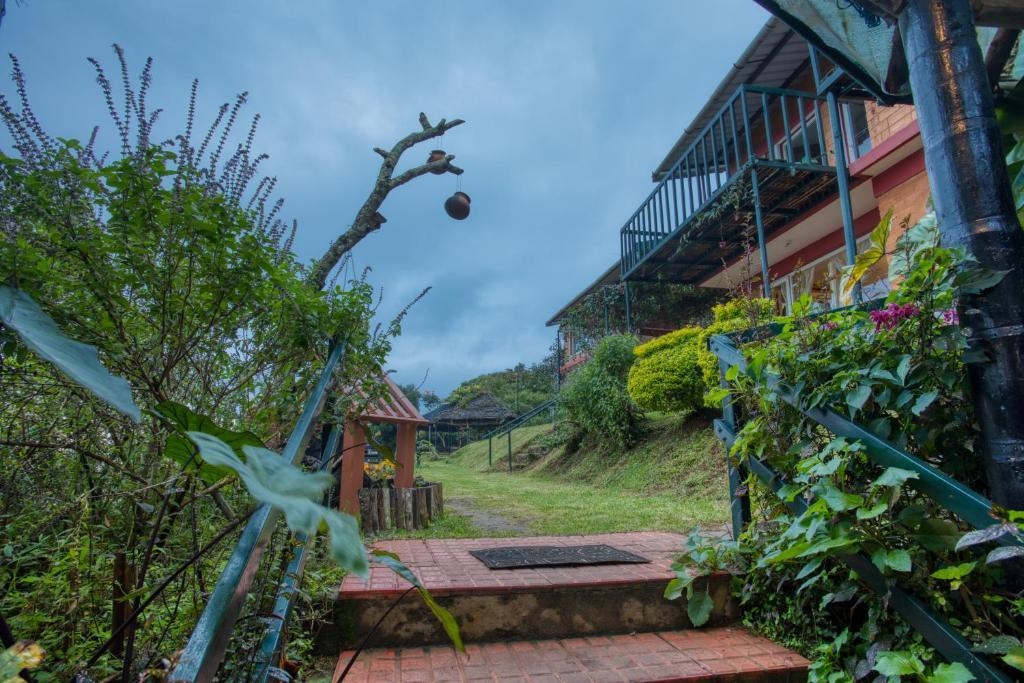 De Rock- Jungle Living x Solis Nature