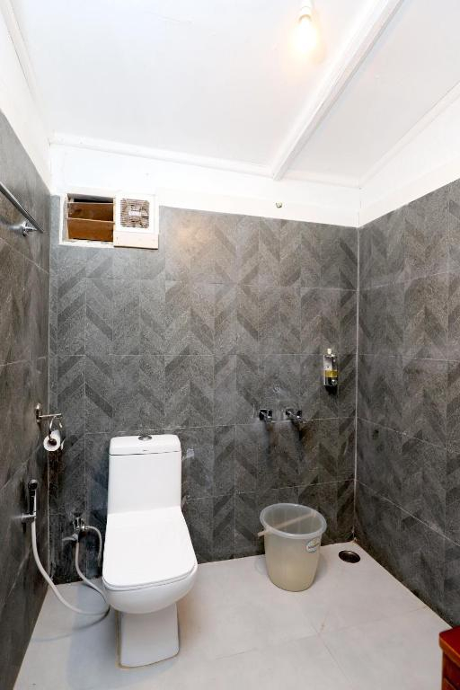 De Rock- Jungle Living x Solis Nature