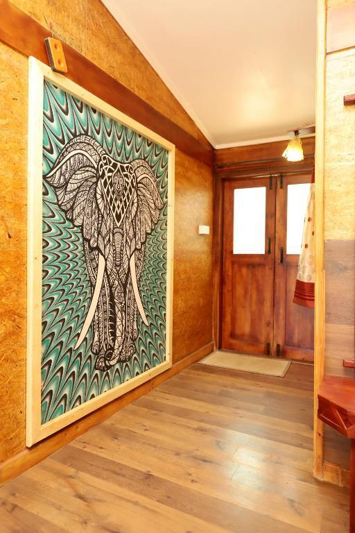 De Rock- Jungle Living x Solis Nature