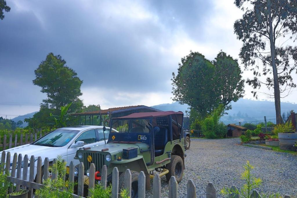 Moonlight Chillers By LexStays x Solis Nature