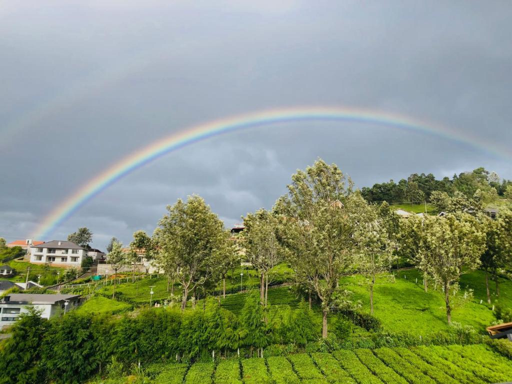 Moonlight Chillers By LexStays x Solis Nature