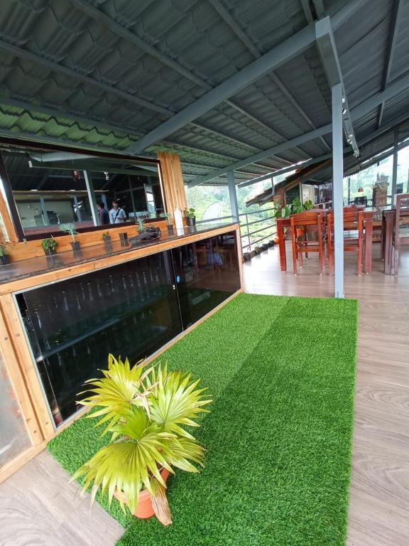 Moonlight Chillers By LexStays x Solis Nature