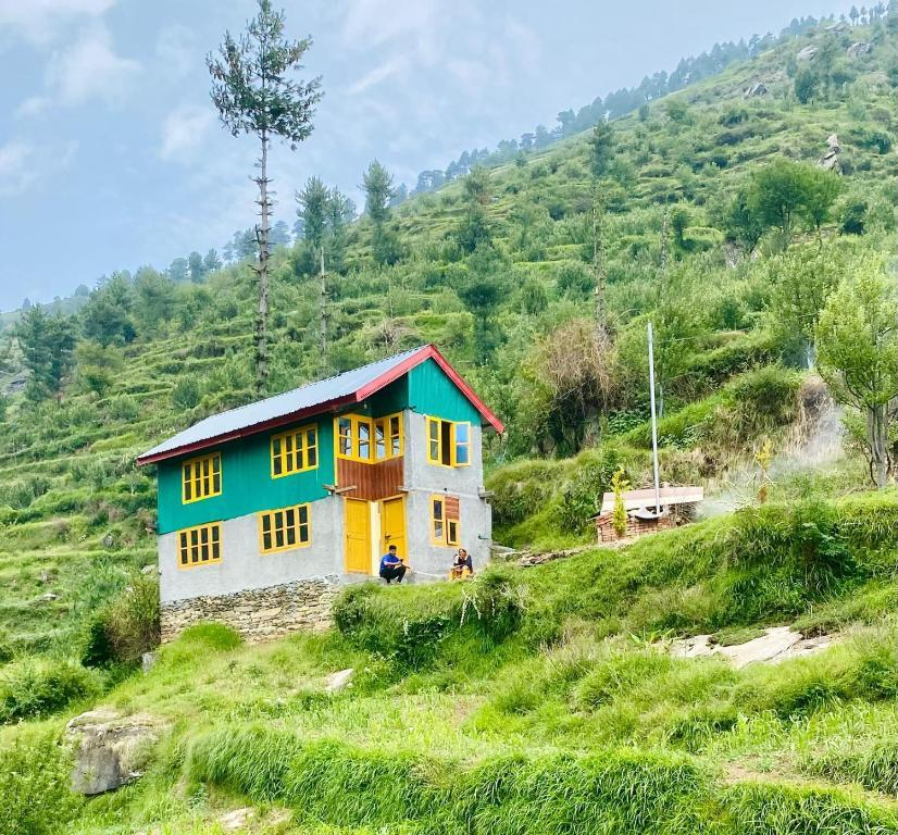 The Wyld - Cabins by Dotlife x Solis Nature