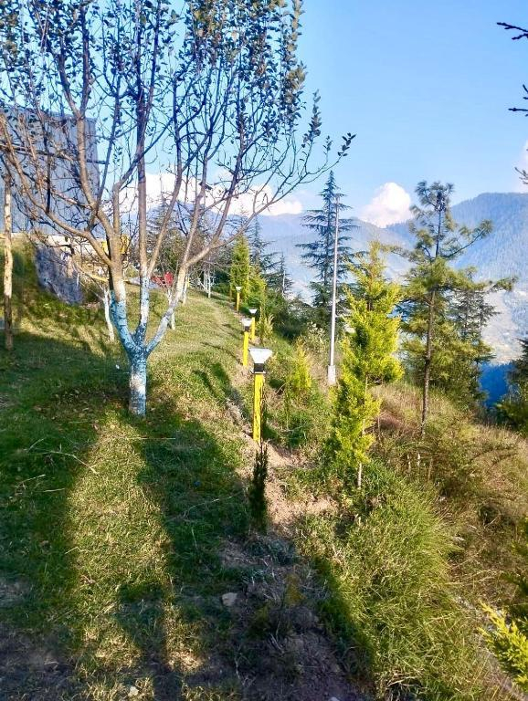 The Wyld - Cabins by Dotlife x Solis Nature