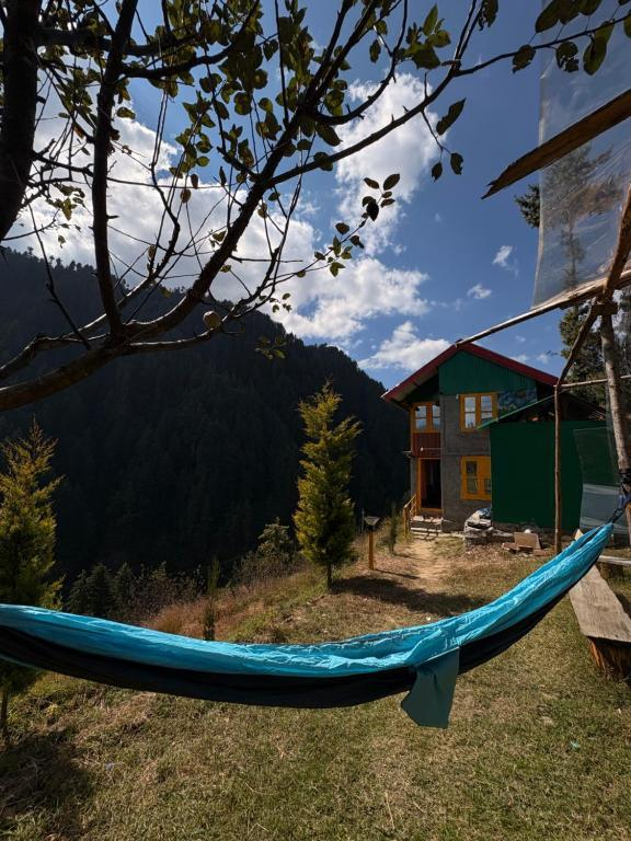 The Wyld - Cabins by Dotlife x Solis Nature