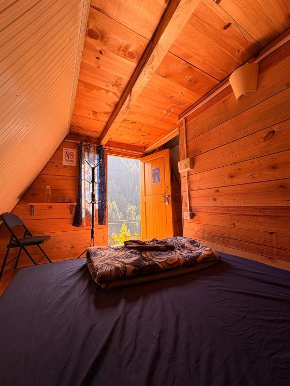 The Wyld - Cabins by Dotlife x Solis Nature