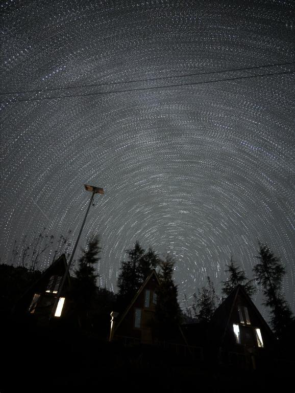 The Wyld - Cabins by Dotlife x Solis Nature