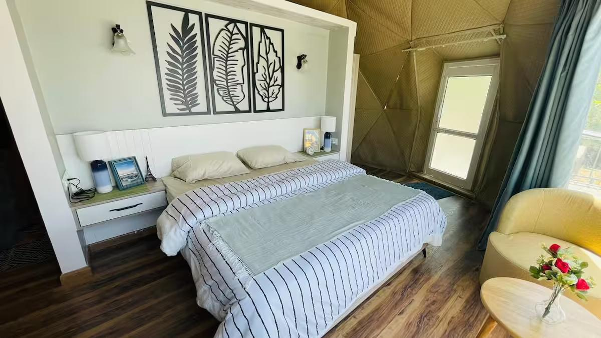 HimRidge Domes : The SmokeyGrey x Solis Nature