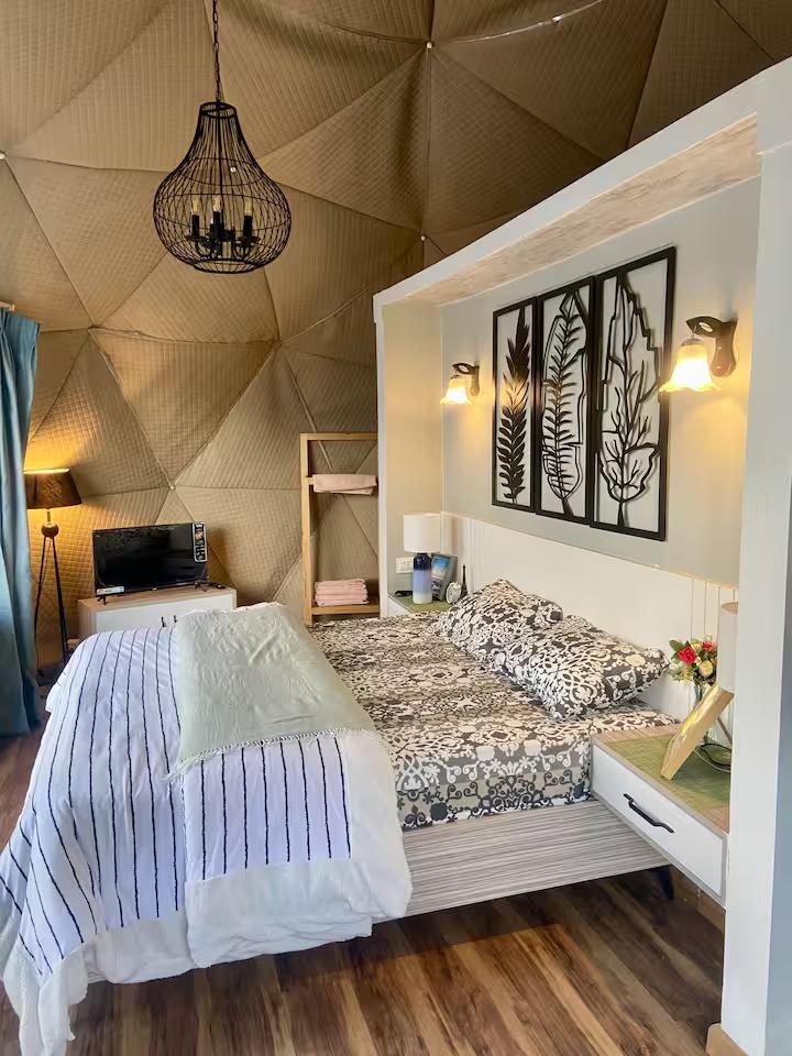 HimRidge Domes : The SmokeyGrey x Solis Nature