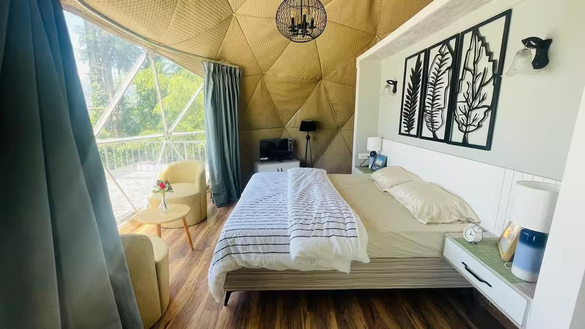 HimRidge Domes : The SmokeyGrey x Solis Nature