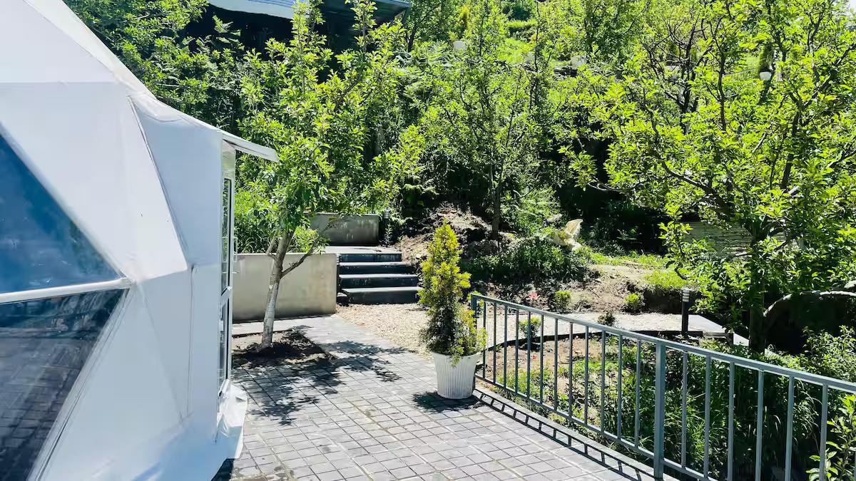 HimRidge Domes : The SmokeyGrey x Solis Nature