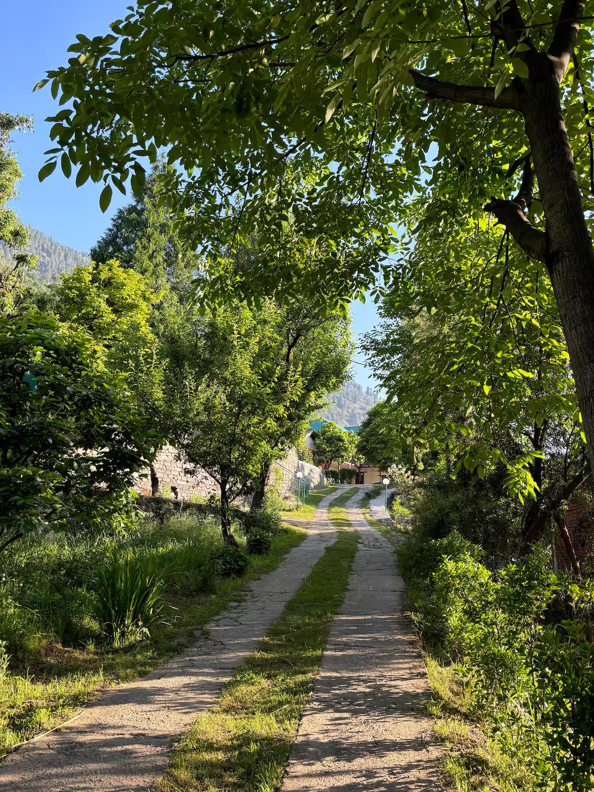 2 Himalayan Glory | Cozy Orchard Stay x Solis Nature