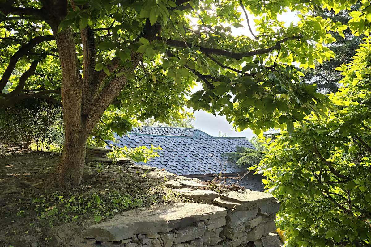 2 Himalayan Glory | Cozy Orchard Stay x Solis Nature