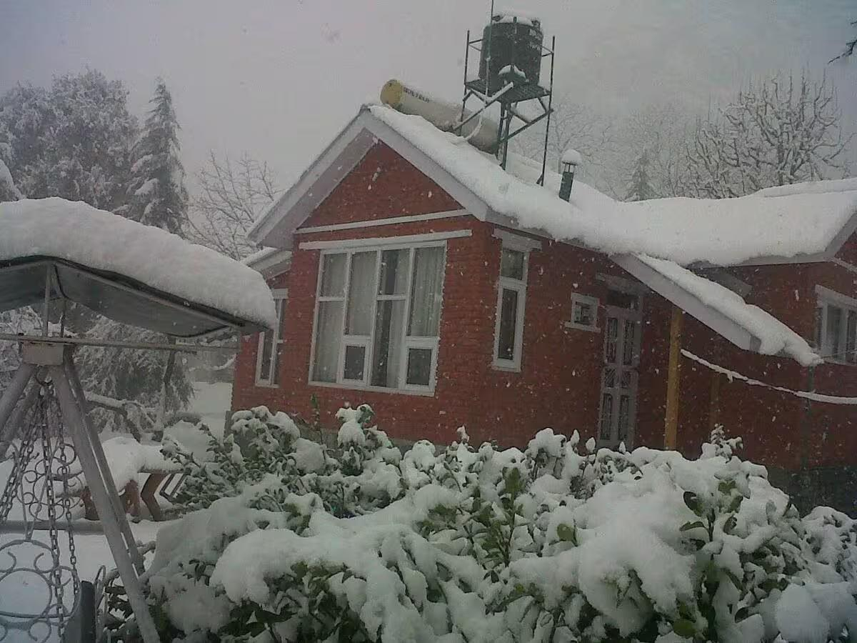 2 Himalayan Glory | Cozy Orchard Stay x Solis Nature