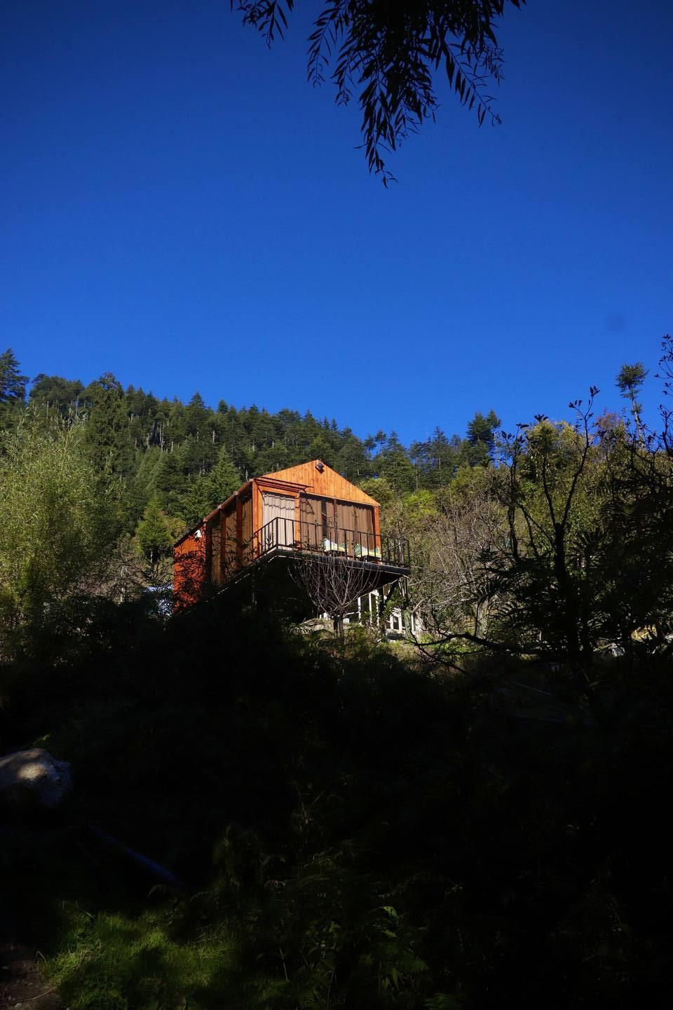 Dreamy Wood n Glass Cabin with Cafe in Forest x Solis Nature