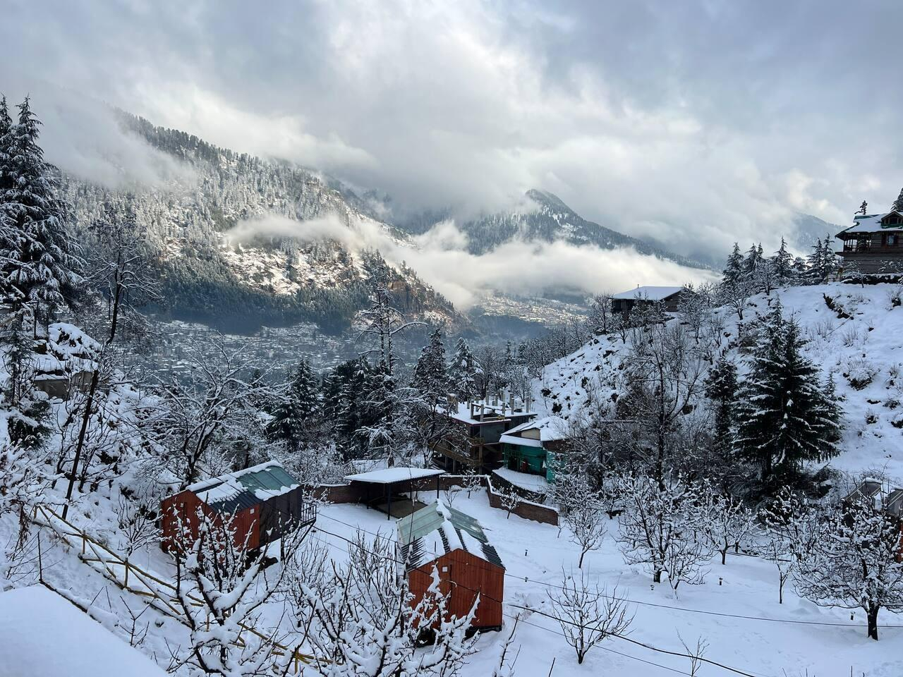 Dreamy Wood n Glass Cabin with Cafe in Forest x Solis Nature