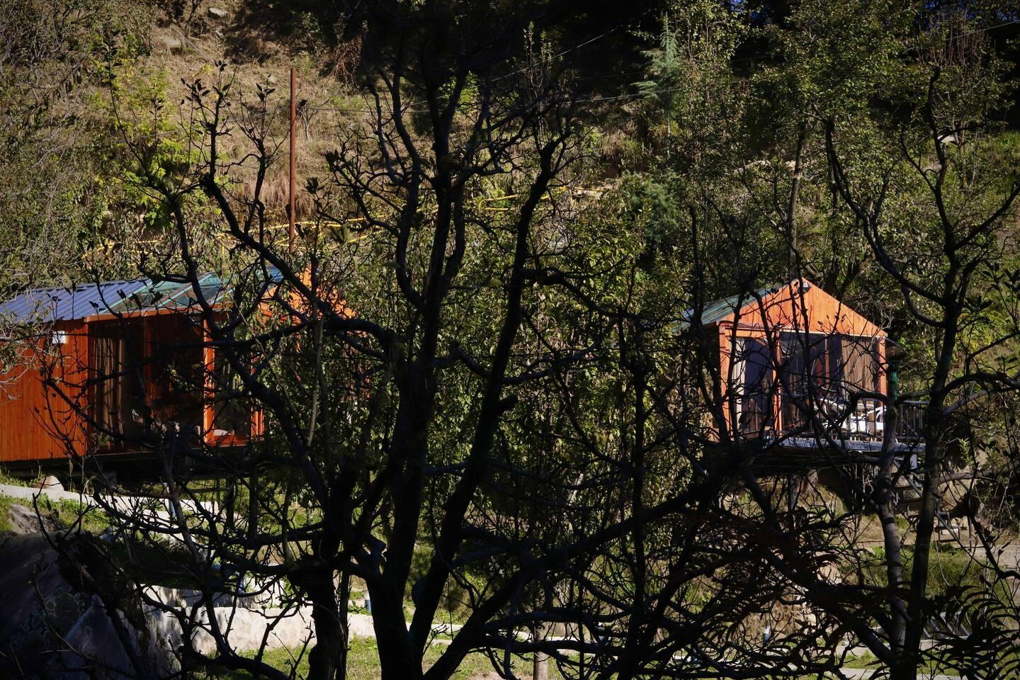 Dreamy Wood n Glass Cabin with Cafe in Forest x Solis Nature