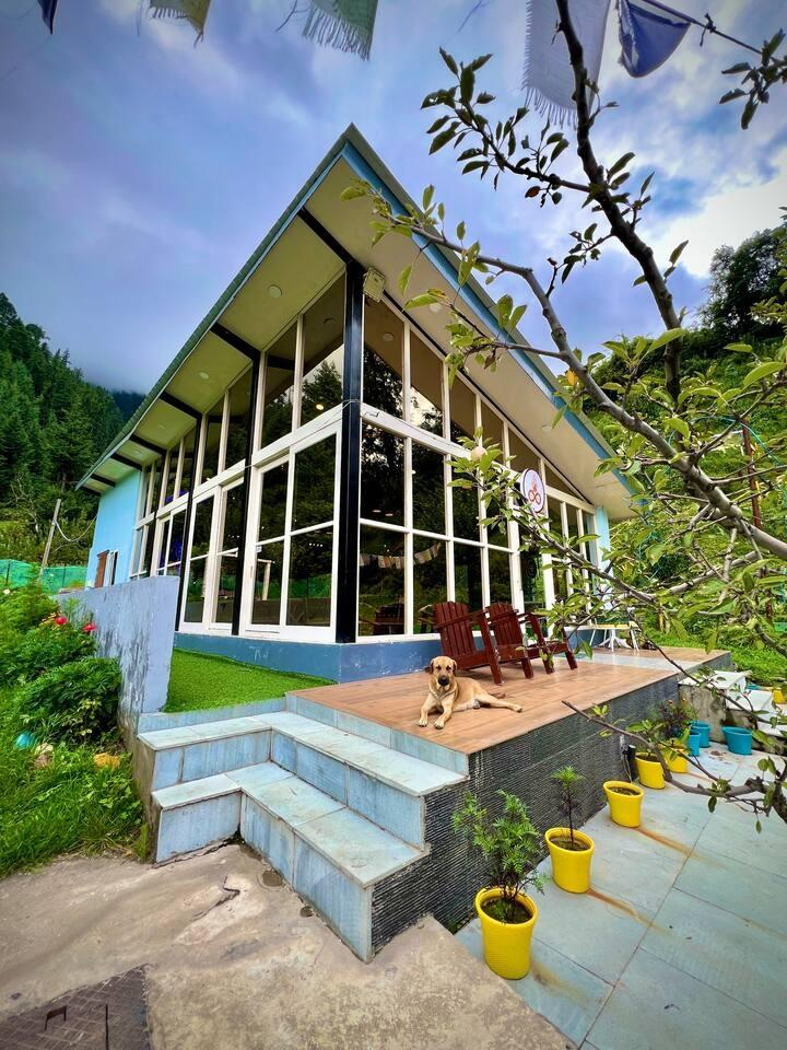 Dreamy Wood n Glass Cabin with Cafe in Forest x Solis Nature