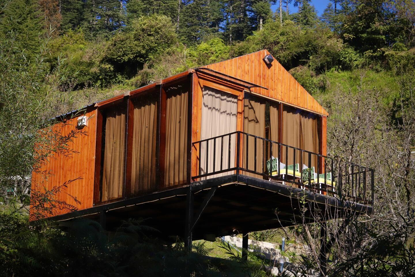 Dreamy Wood n Glass Cabin with Cafe in Forest x Solis Nature