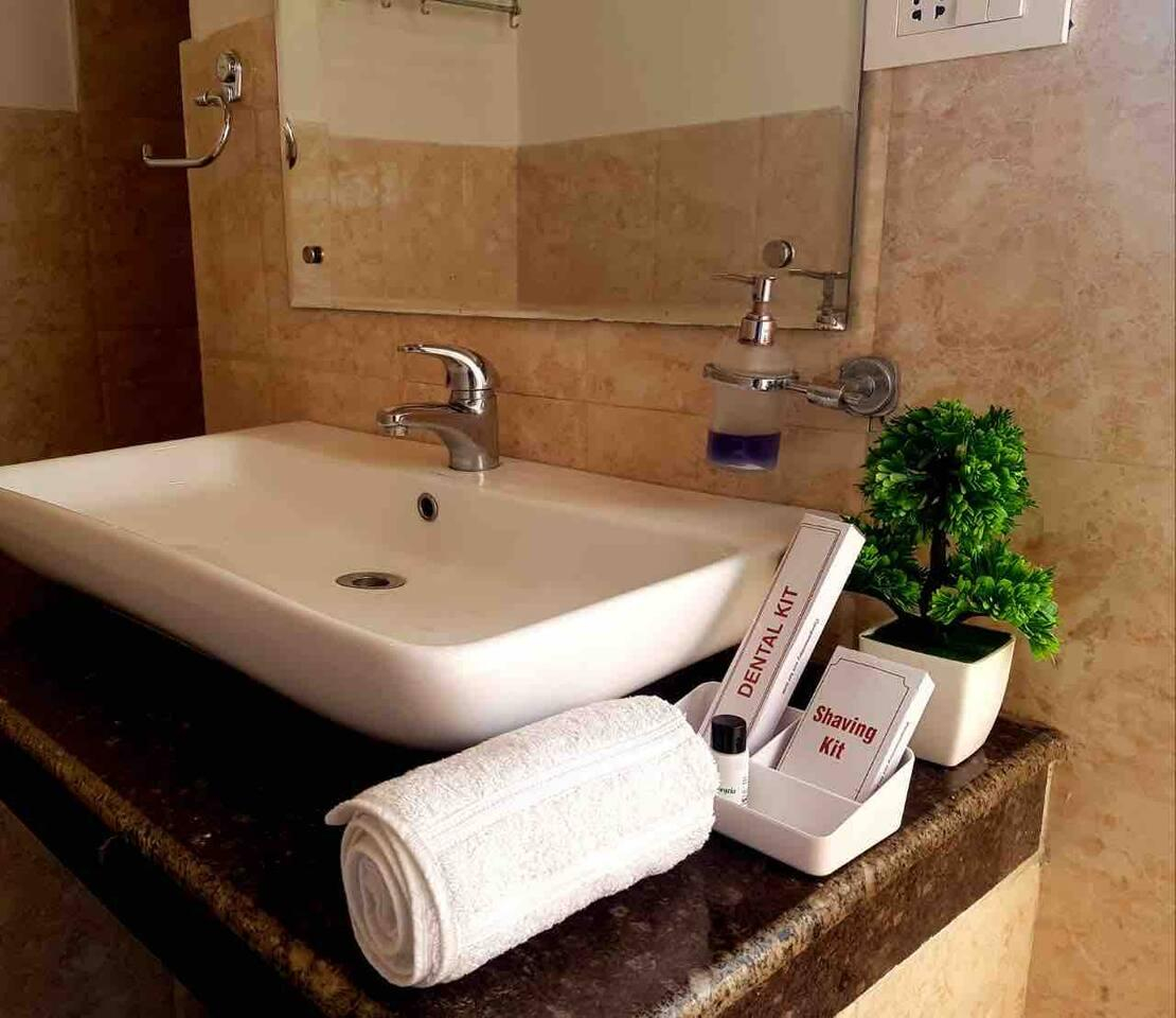 1 bhk with mountain view x Solis Nature