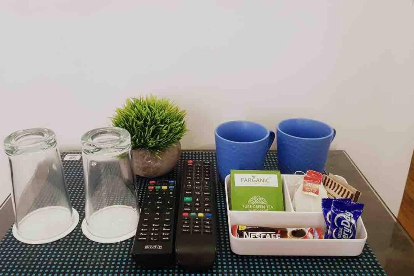 1 bhk with mountain view x Solis Nature