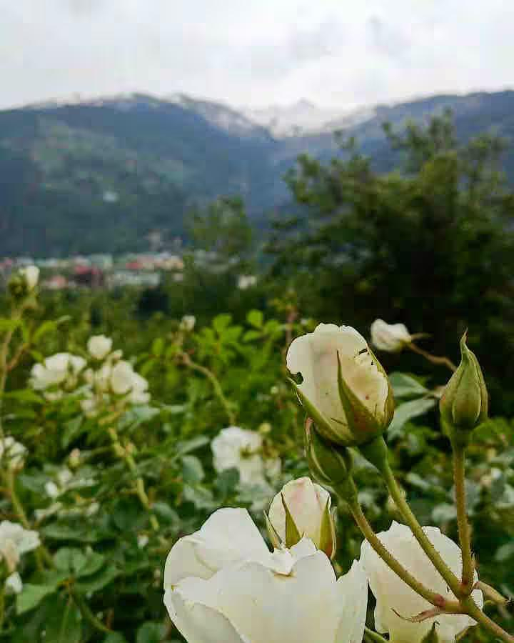 Challet cozy room with mountain view x Solis Nature