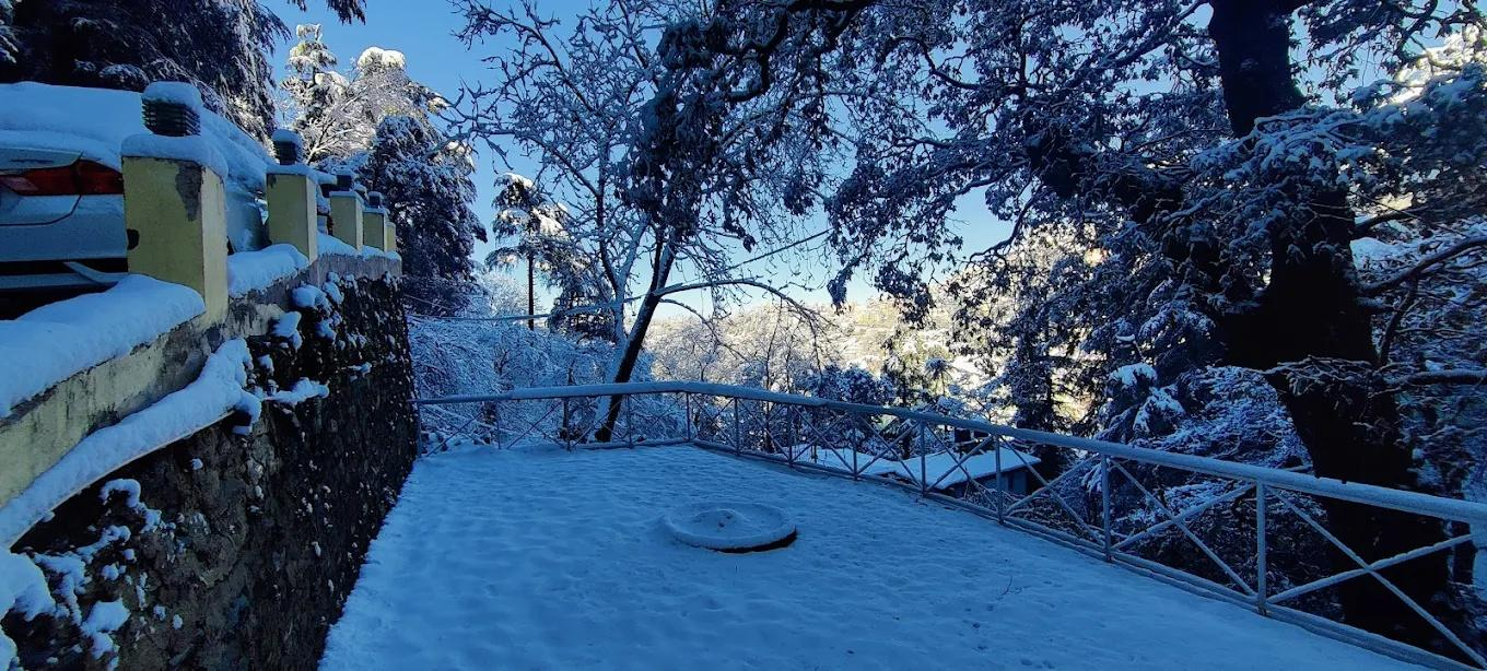 Crossroads Shimla (near Mall Road) x Solis Nature